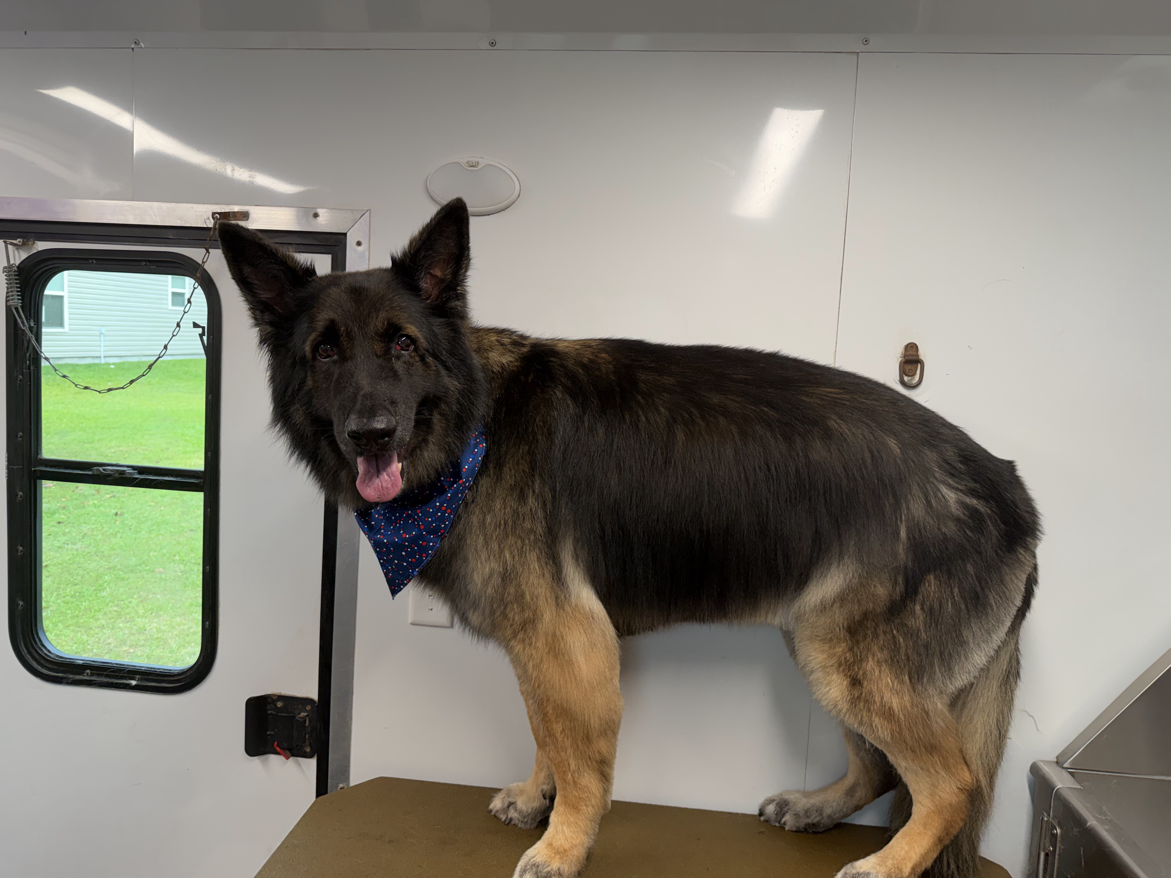 After grooming
